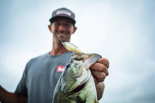 Heddon Spin'N Image - color: Citrus Silver