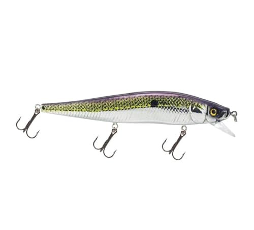 Luck E Strike STX Jerkbait, 4.5 Inch Suspending Hydrodynamic Fishing Lure, Made in The USA - color: Purple Passion