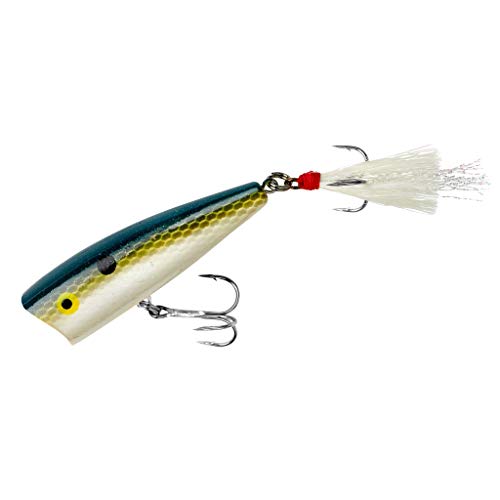 Rebel Lures Pop-R Topwater Popper Fishing Lure - color: Foxy Shad, style: Pop-r (1/4 Oz)