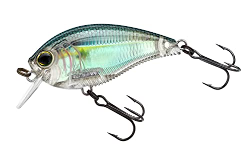 Yo-Zuri 3DB Crank 1.5 Squarebill, Floating, 2-3/8 Inch, 60mm - color: Real Gizzard Shad