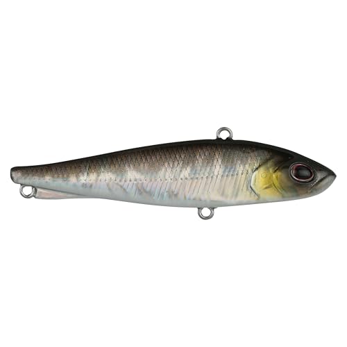 Berkley Ripfish - color: Black Silver, size: 2 3/4 in - 3/8 oz