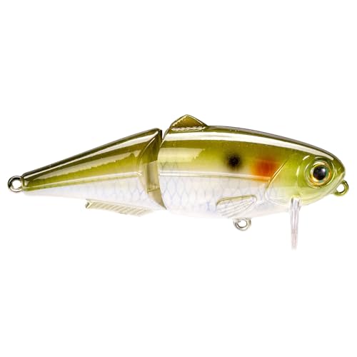 Strike King (HCWS2-864) Wake Shad Fishing Lure, Single Jointed Swimming Topwater Wakebait, 1-Ounce, Size 2 Treble Hooks, Ghost Herring