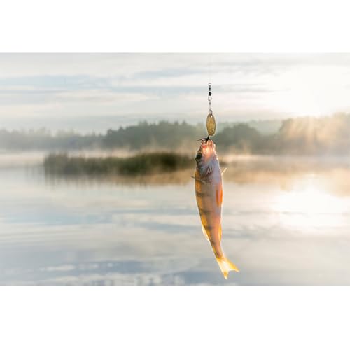 AMYSPORTS Steel Stainless Snap Swivels Saltwater Ball Bearing Fishing Swivel Lure Connector Barrel Swivels Fishing Tackle Black Nickel - size: size1 (23.7lb) 25 pcs
