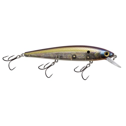 Strike King KVD Elite 300 Jerkbait Hard Bait Fishing Lure, Dives 4-7 Feet, Weight Transfer System - color: Pro TN Shad 2.0, size: Hook Size 4