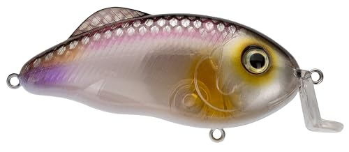 Strike King Hybrid Hunter Jr Crankbait Fishing Lure, 1/2 oz, Reflective 3D Eyes - color: Clearwater Minnow, size: 1/2 oz (Pack of 1)