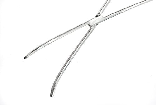 SE 16-Inch Stainless Steel Curved Forceps - Self-Locking, Serrated Tip for Precision Grip and Clamping - Perfect for Crafting, Fishing Tasks, Jewelry Making, and More! -616FC - size: 16", style: Curved