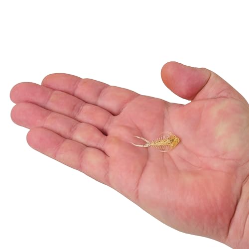 Berkley PowerBait Trilobite Fishing Soft Bait - color: Smoke