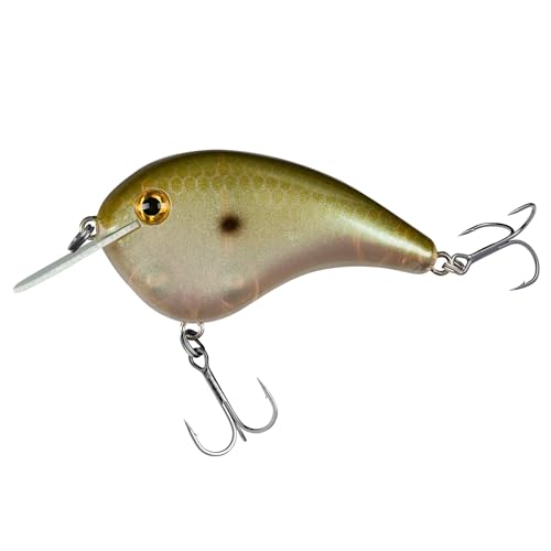 Strike King Chick Magnet Jr. Crankbait Fishing Lure, 1/4 oz, Dives 4-6 Feet, Premium Hooks - color: Green Gizzard Shad