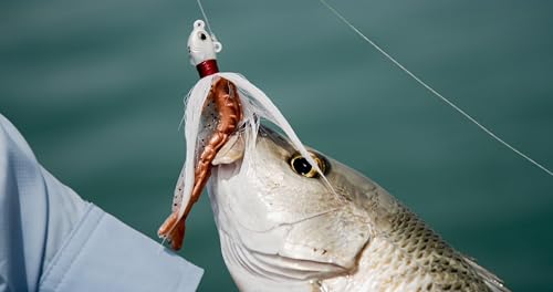 Berkley Gulp! Shrimp Saltwater Fishing Soft Bait - color: Sugar and Spice Glow, size: 4"