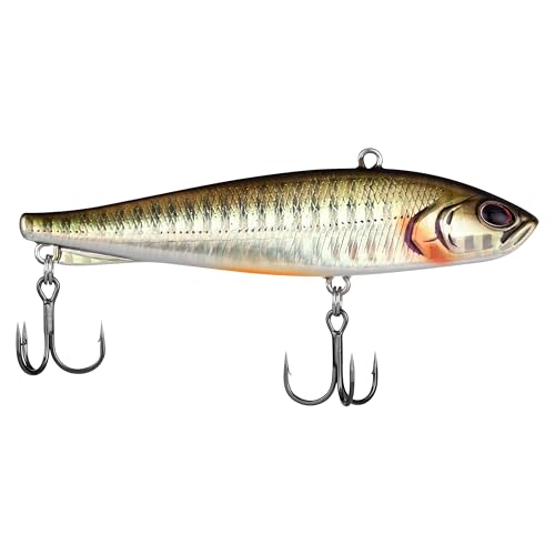 Berkley Ripfish - color: Dark Shiner, size: 3 1/2 in - 3/4 oz