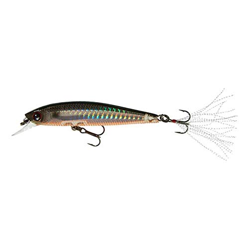 YO-Zuri(ヨーヅリ) バスルアー 3DB ジャークベイト 90/110 (SP) 90mm/110mm サスペンドタイプ - color: Prism Tennessee Shad, size: 3-1/2"