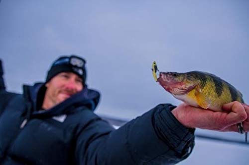 SteelShad - Mini Series (1/4 oz) - 2 Pack - Lipless Crankbait for Freshwater Fishing - Perfect for Ice Fishing, Pan Fishing, Crappie, Walleye and Bass - color: Sexy Shad