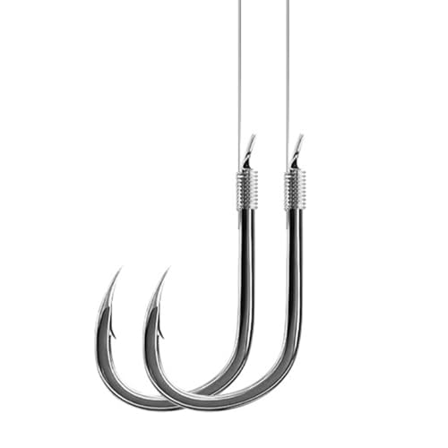 AMHDV Pre Tied Fishing Hooks on Line, Small Fish Hook with Leaders (Pack of 20) - size: 12# (2.2-4.4lb)
