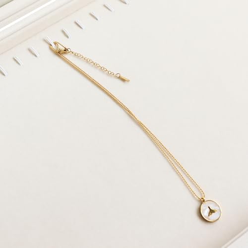 Wudygirl Necklace Organizer with Clear Glass Lid Stackable Jewelry Organizer Tray with 20 Hooks for Necklace Bracelet(Beige Necklace Box) - color: Beige, size: Necklace