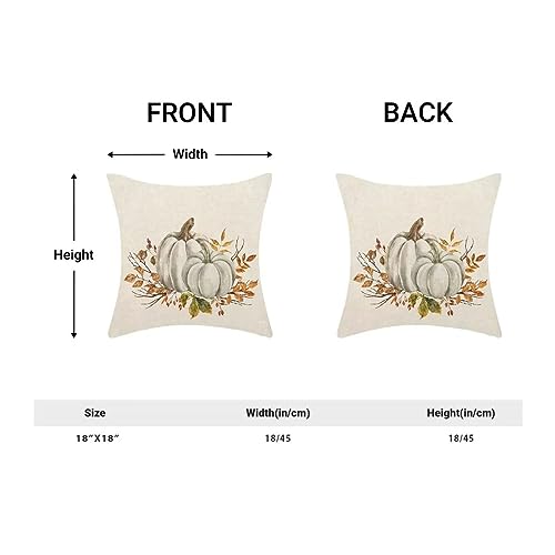 Autumn Fall Pillow Covers 18 X 18 Inch Set of 2, White and Grey Pumpkins Orange Flowers Throw Pillow Covers Farmhouse Thanksgiving Harvest Decorative Autumn Pillows for Couch Home Sofa Outdoor - color: Pumpkin3, size: 18" x 18" (Pack of 1)