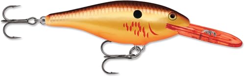 Rapala Shad Rap 07 Fishing Lures - color: Blue Copper Flash