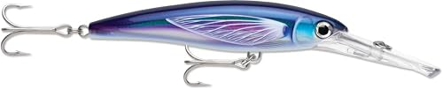 Rapala X-Rap Jerkbait 08 Fishing Lures - color: HD Flying Fish