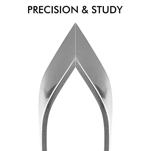 Fish Bone Tweezers, Professional Stainless Steel Flat and Slant Pliers Set for Kitchen Salmon Trout, 1 SET | Professional Stainless Steel, Flat and Slant Pliers Set, For Kitchen Salmon Trout