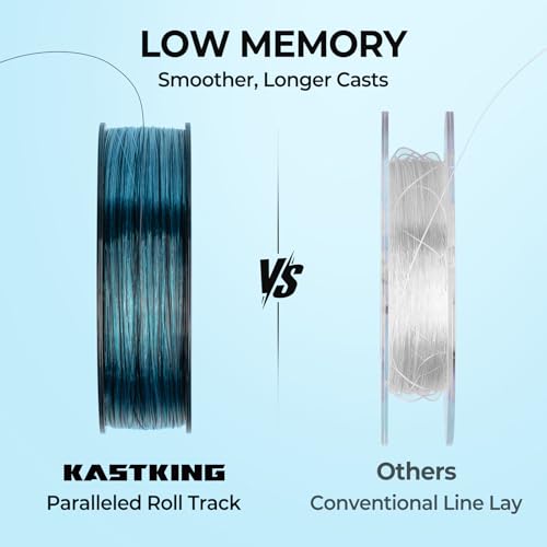 KastKing World's Premium Monofilament Fishing Line - Paralleled Roll Track - Strong and Abrasion Resistant Mono Line - Superior Nylon Material Fishing Line - 2015 ICAST Award Winning Manufacturer - color: B:Ice Clear, size: 300Yds/30LB