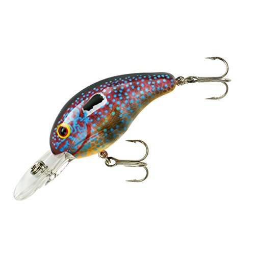 BANDIT LURES Crankbait Series 100 200 & 300 Bass Fishing Lures, Sun Perch, Series 200 (Dives to 8')
