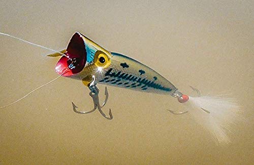 Rebel Lures Pop-R Topwater Popper Fishing Lure - color: Fire Tiger, style: Pop-r (1/4 Oz)