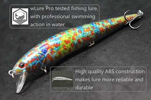 Minnow Crankbait for Bass Fishing Bass Lure Jerkbait Fishing Lures and Tackle Box - color: HM509KB