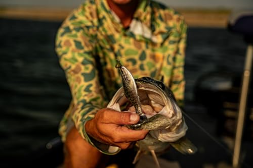 6th Sense - Panorama Sampler Pack - Multi-Size Soft Swimbait Bundle for Bass, Crappie, and Multi-Species Fishing