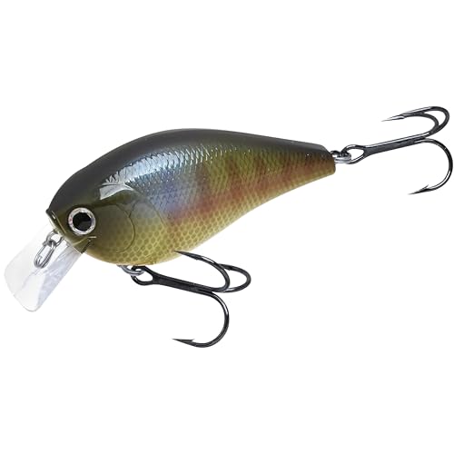 LUCKY CRAFT LC 2.5 Silent Crankbait Fishing Lures, 2-3/8” Squarebill Crankbait, Bass Lures, Floating 4ft Depth Hard Bait, Champion Freshwater Fishing Gear and Tackle Box Accessories - color: 269 BE Gill