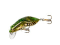 Rebel Lures Wee Frog Ultralight Crankbait Fishing Lure - color: Northern Leopard Frog