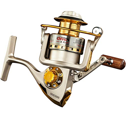 Diwa Spinning Fishing Reels for Saltwater Freshwater 1000 2000 3000 4000 5000 6000 Series Fishing Spool Left/Right Interchangeable Trout Carp Spinning Reel Light and Smooth - style: 5000