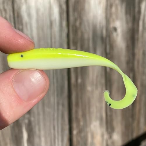 A.M. Fishing Curly Tail Jerkshad 4 Inch Soft Baits Garlic Infused,– 8 Pack – Saltwater & Freshwater Fishing Lures for Bass, Redfish, Snook, and Trout - color: Atomic Firebelly