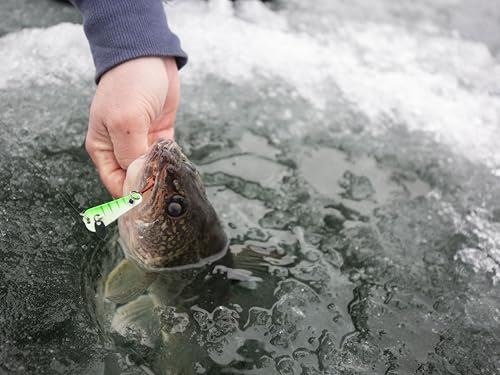Northland Tackle Ice Fishing Thumper Spoon, Stamped Brass Flutter Spoon Ice Fishing Lure for Walleye, Crappie, & More, 10 Colors, 1/16 Oz, 1/8 Oz, 3/16 Oz, ¼ Oz Lure Sizes - color: Gold, size: 1/4 oz