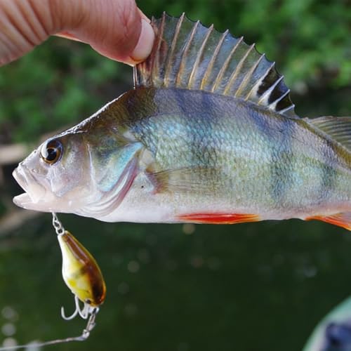 20pcs/25pcs Fishing Blanks Lures Kit Fishing Topwater Unpainted Swimbait Unpainted Crankbaits Hard Baits DIY Lure for Bass Salmon Trout Saltwater and Freshwater - color: 20PCS 2.68″/0.47oz