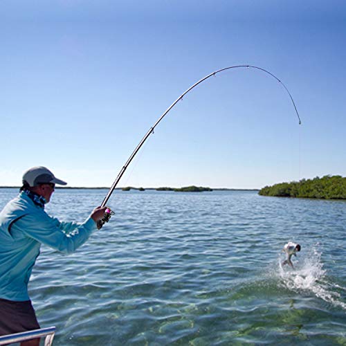 Sougayilang Fishing Rod and Reel Set Carbon Fiber Telescopic Fishing Rod 12+1BB Spinning Reel with Carry Case for Saltwater Freshwater - color: silver, size: 7.87 ft - 3000