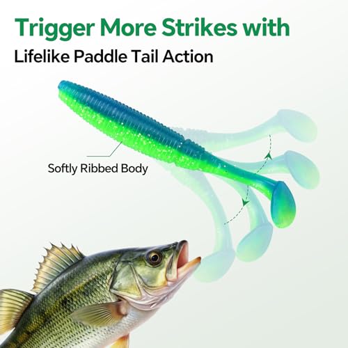 Clearance Bionics-Designed Durable Soft Plastic Fishing Lures Kit with Bonus Accessories, 3/4/5/6 Inch, 9-Type Lifelike Swimbaits in One Gear Set Included Tackle Box for Bass - color: Blue-green