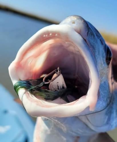 Top Water Co. Fishing Speed Clips - Durable Stainless Steel, Fast Lure Connector (Multiple Sizes) - size: Small 45lb