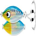 Daiwa Daiwa Saltiga Sk Jig - color: Sardine, size: 11 oz