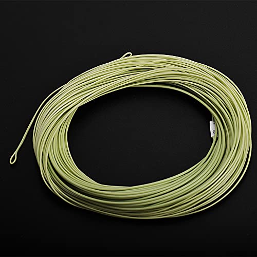 SF Fly Fishing Line Weight Forward Floating Fly Line for Fly Fishing 3wt 4wt 5wt 6wt 7wt 8wt 100FT Double Welded Loops - color: Moss Green, size: WF5F 100FT