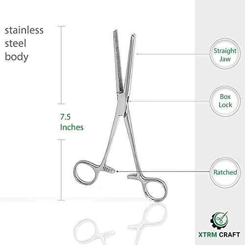 Precision Kelly Hemostat Forceps Locking Tweezers Clamp, Silver, Straight and Curved Stainless Steel (Straight, 7.25) - size: 7.25, style: Straight