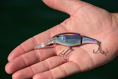 Berkley Flicker Shad Jointed Fishing Hard Bait - color: Firetail Ghost Glitter, size: 2 3/4 in - 1/3 oz