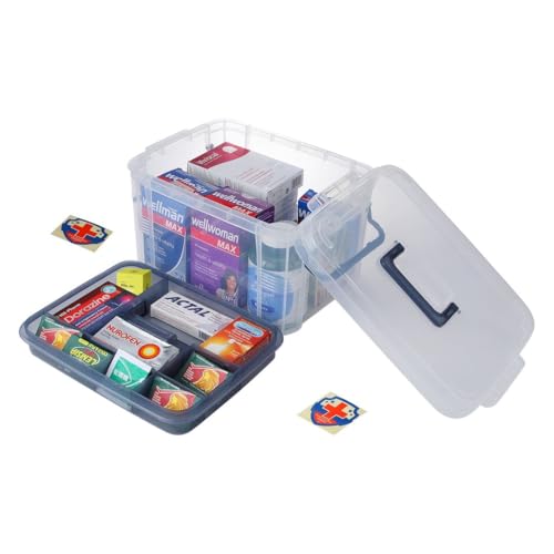 HEY FOLY 15qt Blue Medicine Organizer Storage Box with Tray, Plastic First Aid Box Empty, Thickened Medicine Container Chest, Multipurpose Medical Case with Labels, Blue Medicine Caddy - color: Blue