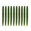 Worms for Bass Fishing FS/RE-04 | Salted Soft Plastic Fishing Lures ,with Hook Slot,Saltwater Freshwater Bass Baits - color: Green-10pcs