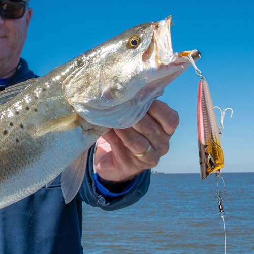 Alwonder 20-Pack Ball Bearing Swivels with Snaps, Fishing Snap Swivels Fishing Tackle Saltwater Freshwater Coastlock Snaps Barrel Swivel Leader Connector Downrigger Planer Release Clips - size: #2-49lb