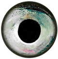 Brule 3-D Holographic Epoxy Fish Eyes (5mm-20mm) 60 Pack, Handpoured, Fishing Fly Tying Lures DIY Crafts - color: Sleet, size: 10mm