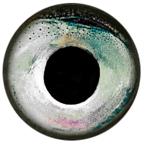 Brule 3-D Holographic Epoxy Fish Eyes (5mm-20mm) 60 Pack, Handpoured, Fishing Fly Tying Lures DIY Crafts - color: Sleet, size: 5mm