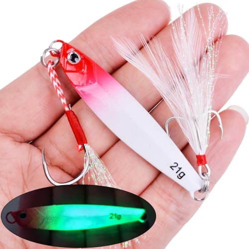 Saltwater Fishing jigs Speed Jigging Slow Jigging Pitching Lures Artificial Lures - size: 10pcs 21G
