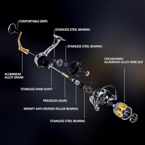 Spinning Fishing Reel for Freshwater Saltwater Fishing, Anti-Reverse with Front-Adjustable Drag - style: Gx1000 (13+1 Ball Bearings)