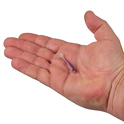 Berkley PowerBait Ripple Shad Fishing Soft Bait - color: HD Purple Smelt, size: 2"