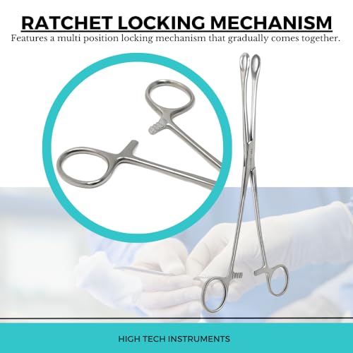Foerster Sponge Forceps Straight + Curved Serrated Loop Jaws Holding Instruments Body Piercing Locking Clamps, Stainless Steel (9.5" - Straight) - style: 9.5" - Straight