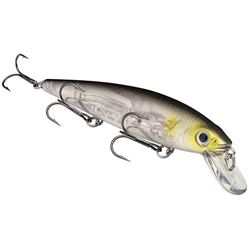 Strike King KVD Jerkbait 3 Hook - color: Clearwater Minnow, size: 4.75 inch (Pack of 1)
